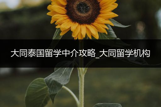 大同泰国留学中介攻略_大同留学机构