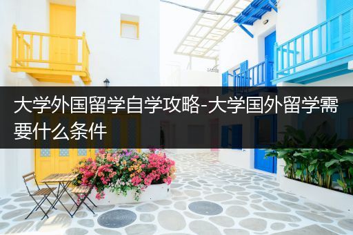 大学外国留学自学攻略-大学国外留学需要什么条件