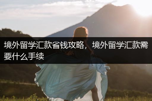 境外留学汇款省钱攻略，境外留学汇款需要什么手续