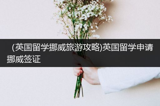 （英国留学挪威旅游攻略)英国留学申请挪威签证