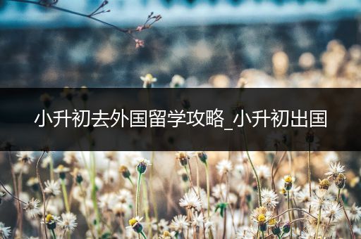 小升初去外国留学攻略_小升初出国