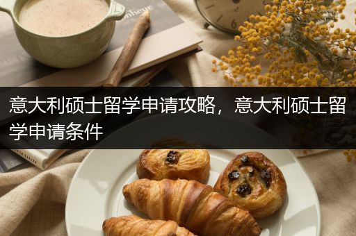 意大利硕士留学申请攻略，意大利硕士留学申请条件