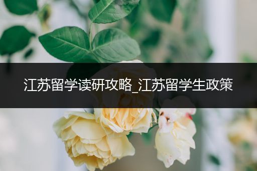 江苏留学读研攻略_江苏留学生政策