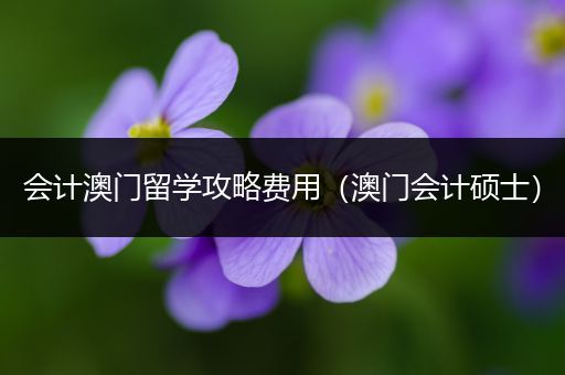 会计澳门留学攻略费用（澳门会计硕士）