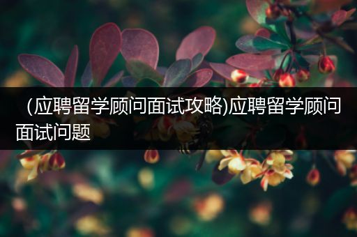 （应聘留学顾问面试攻略)应聘留学顾问面试问题