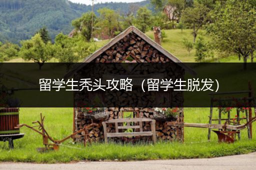 留学生秃头攻略（留学生脱发）