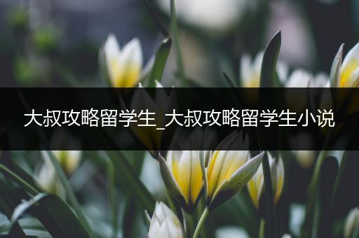 大叔攻略留学生_大叔攻略留学生小说