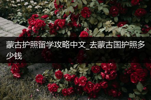蒙古护照留学攻略中文_去蒙古国护照多少钱