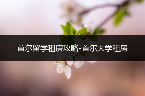 首尔留学租房攻略-首尔大学租房