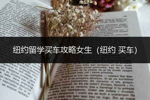 纽约留学买车攻略女生（纽约 买车）
