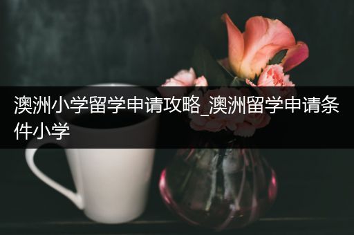 澳洲小学留学申请攻略_澳洲留学申请条件小学