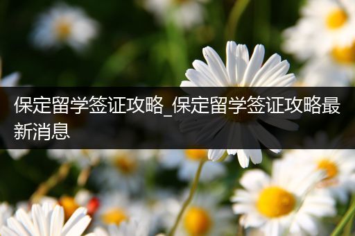 保定留学签证攻略_保定留学签证攻略最新消息