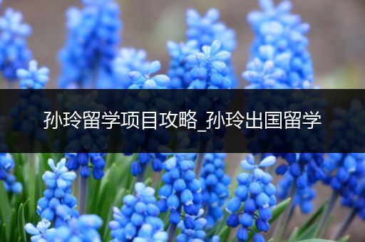 孙玲留学项目攻略_孙玲出国留学