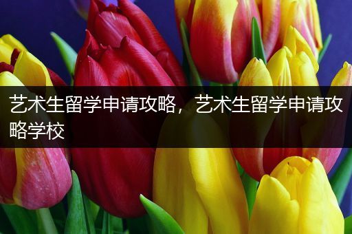 艺术生留学申请攻略，艺术生留学申请攻略学校