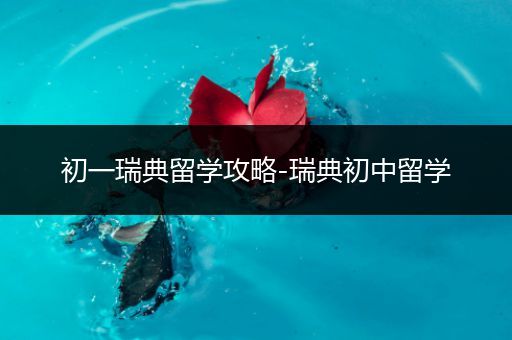 初一瑞典留学攻略-瑞典初中留学