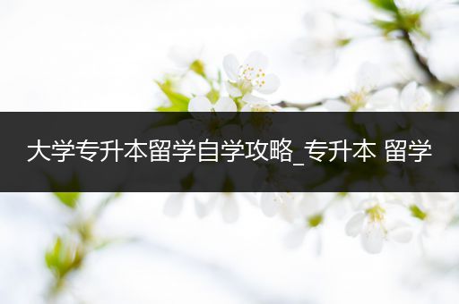 大学专升本留学自学攻略_专升本 留学