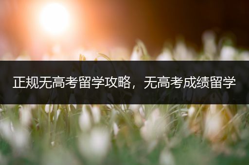 正规无高考留学攻略，无高考成绩留学