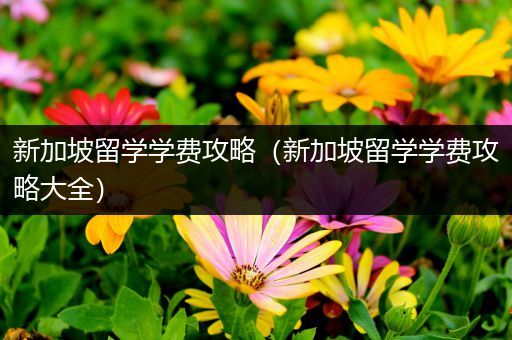 新加坡留学学费攻略（新加坡留学学费攻略大全）