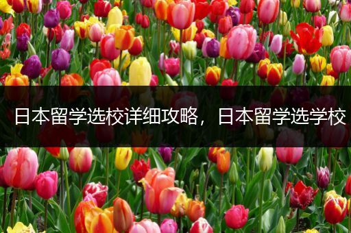 日本留学选校详细攻略，日本留学选学校