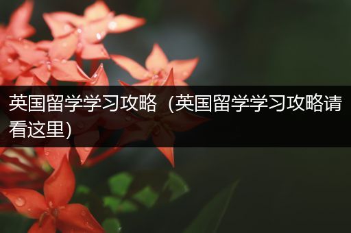 英国留学学习攻略（英国留学学习攻略请看这里）