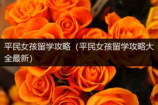 平民女孩留学攻略（平民女孩留学攻略大全最新）