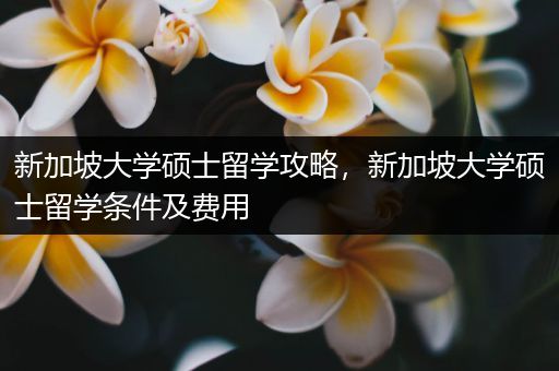 新加坡大学硕士留学攻略，新加坡大学硕士留学条件及费用