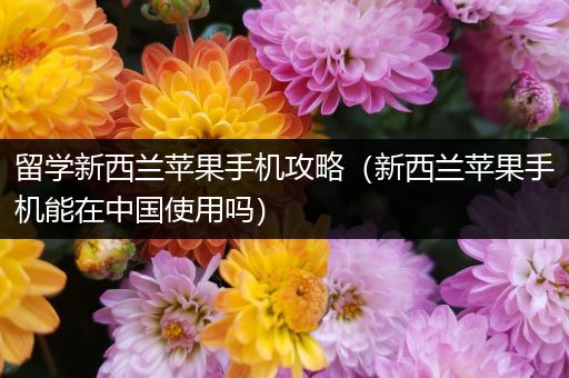 留学新西兰苹果手机攻略（新西兰苹果手机能在中国使用吗）