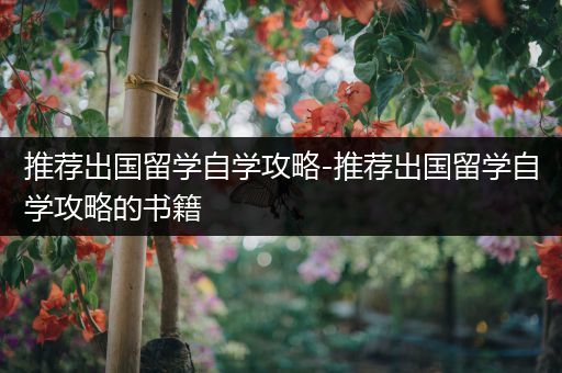 推荐出国留学自学攻略-推荐出国留学自学攻略的书籍