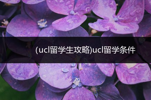 （ucl留学生攻略)ucl留学条件