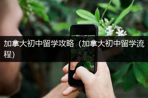 加拿大初中留学攻略（加拿大初中留学流程）