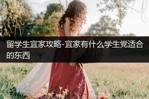 留学生宜家攻略-宜家有什么学生党适合的东西