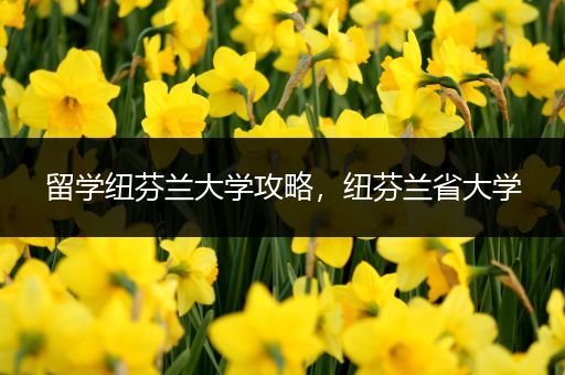 留学纽芬兰大学攻略，纽芬兰省大学