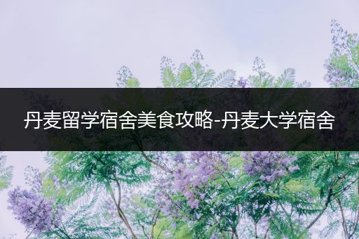 丹麦留学宿舍美食攻略-丹麦大学宿舍