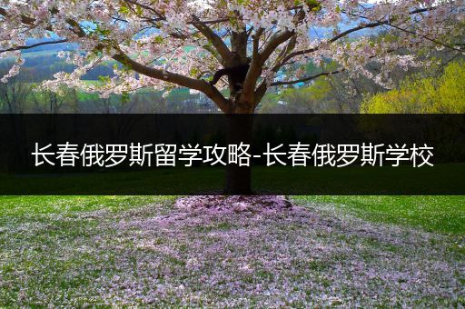 长春俄罗斯留学攻略-长春俄罗斯学校