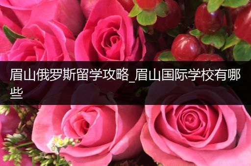 眉山俄罗斯留学攻略_眉山国际学校有哪些