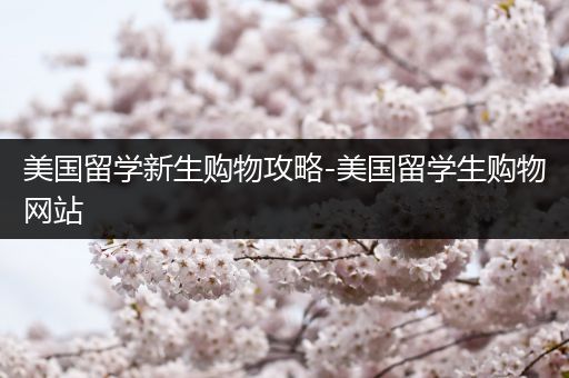 美国留学新生购物攻略-美国留学生购物网站