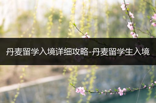 丹麦留学入境详细攻略-丹麦留学生入境