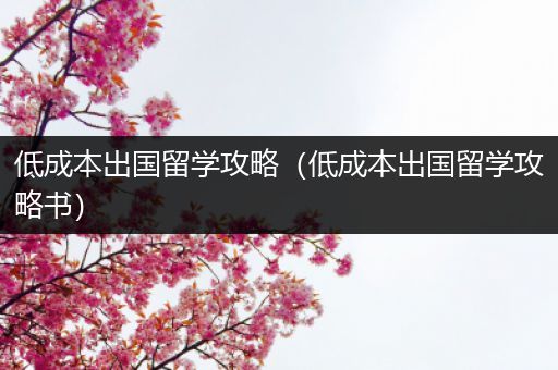 低成本出国留学攻略（低成本出国留学攻略书）