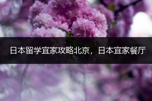 日本留学宜家攻略北京，日本宜家餐厅