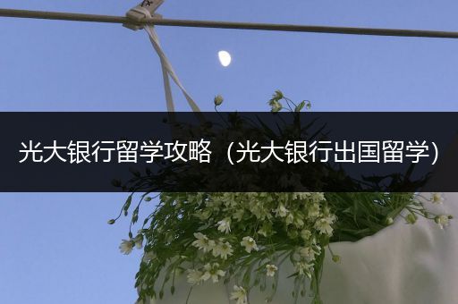 光大银行留学攻略（光大银行出国留学）