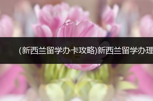 （新西兰留学办卡攻略)新西兰留学办理