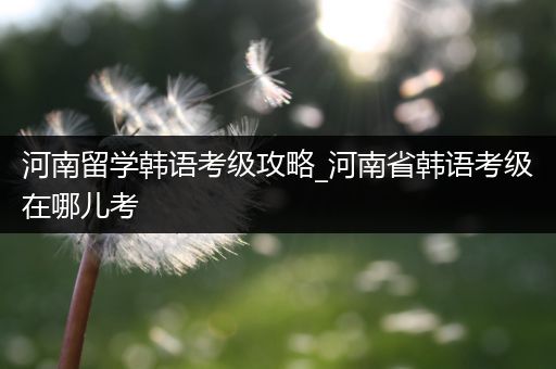 河南留学韩语考级攻略_河南省韩语考级在哪儿考