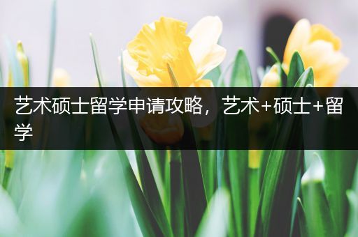 艺术硕士留学申请攻略，艺术+硕士+留学