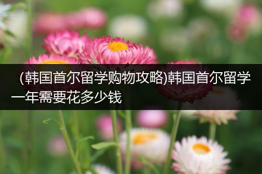 （韩国首尔留学购物攻略)韩国首尔留学一年需要花多少钱