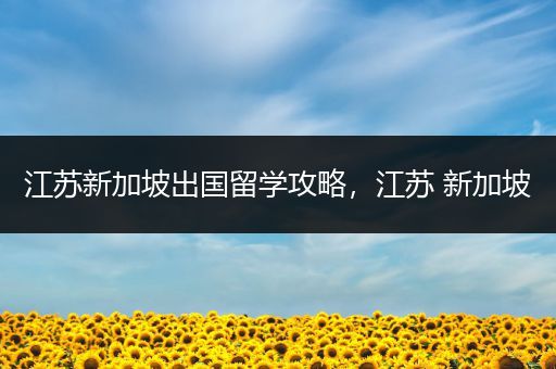 江苏新加坡出国留学攻略，江苏 新加坡