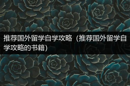 推荐国外留学自学攻略（推荐国外留学自学攻略的书籍）