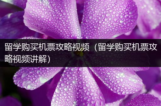 留学购买机票攻略视频（留学购买机票攻略视频讲解）