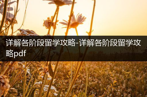 详解各阶段留学攻略-详解各阶段留学攻略pdf