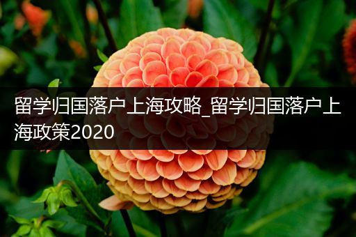 留学归国落户上海攻略_留学归国落户上海政策2020