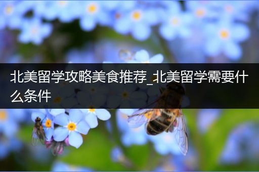 北美留学攻略美食推荐_北美留学需要什么条件